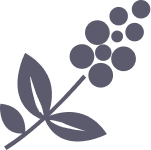 Imports Icon