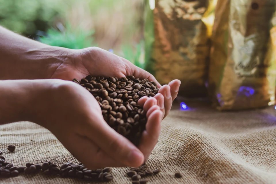 Coffee Farmer
