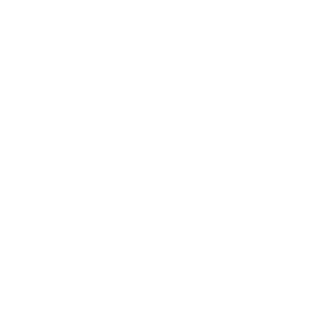 Category Icon
