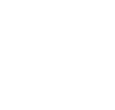 Category Icon