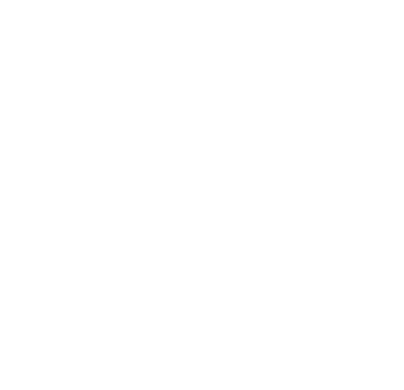 Category Icon