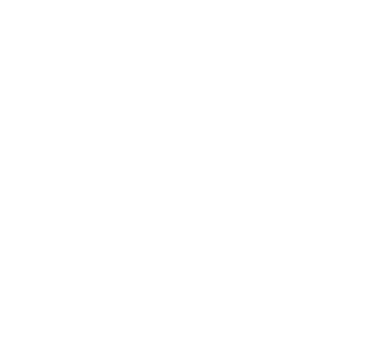Category Icon